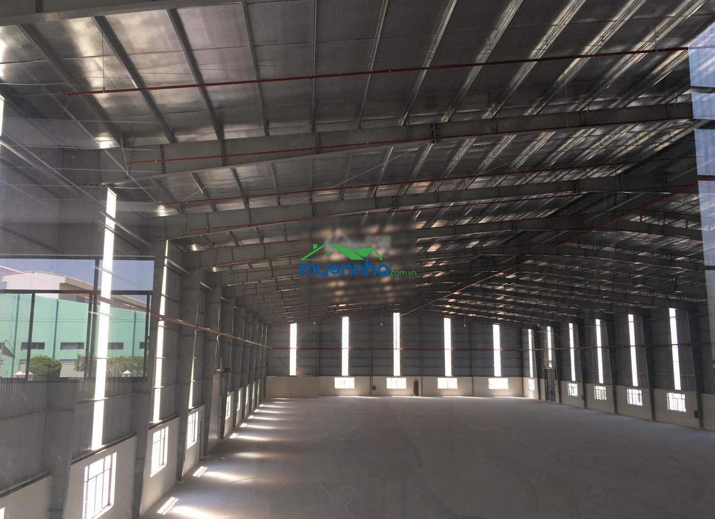 Cần cho thuê kho, nhà xưởng đạt chuẩn công nghiệp tại kcn mỹ phước, thị xã bến cát, tỉnh bình dương - 2