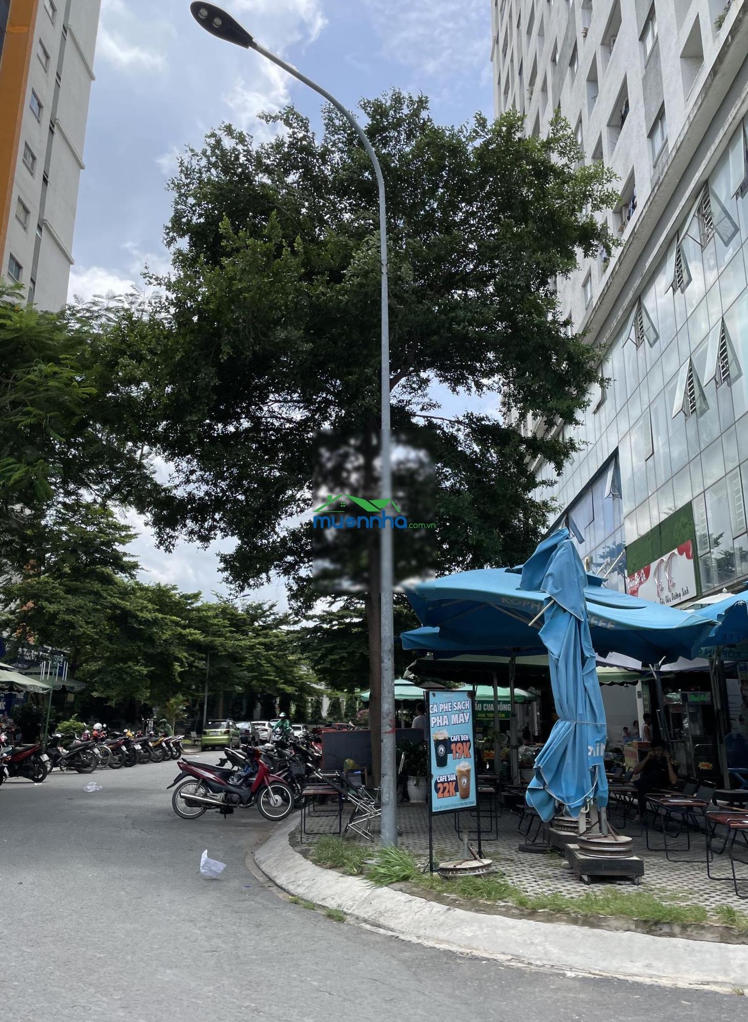 Căn hộ 1pn bán tại cc lotus ql1a - 3