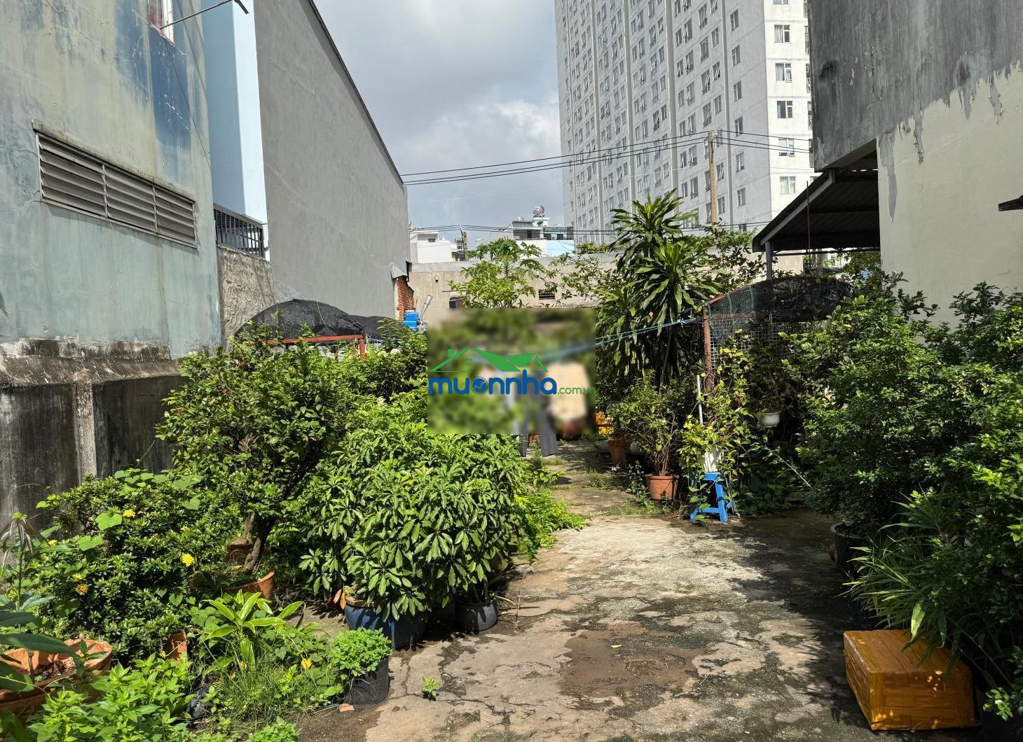 Bán đất tại bình long, 32 tỷ, 278,8 m², giá siêu hời cho cơ hội đầu tư