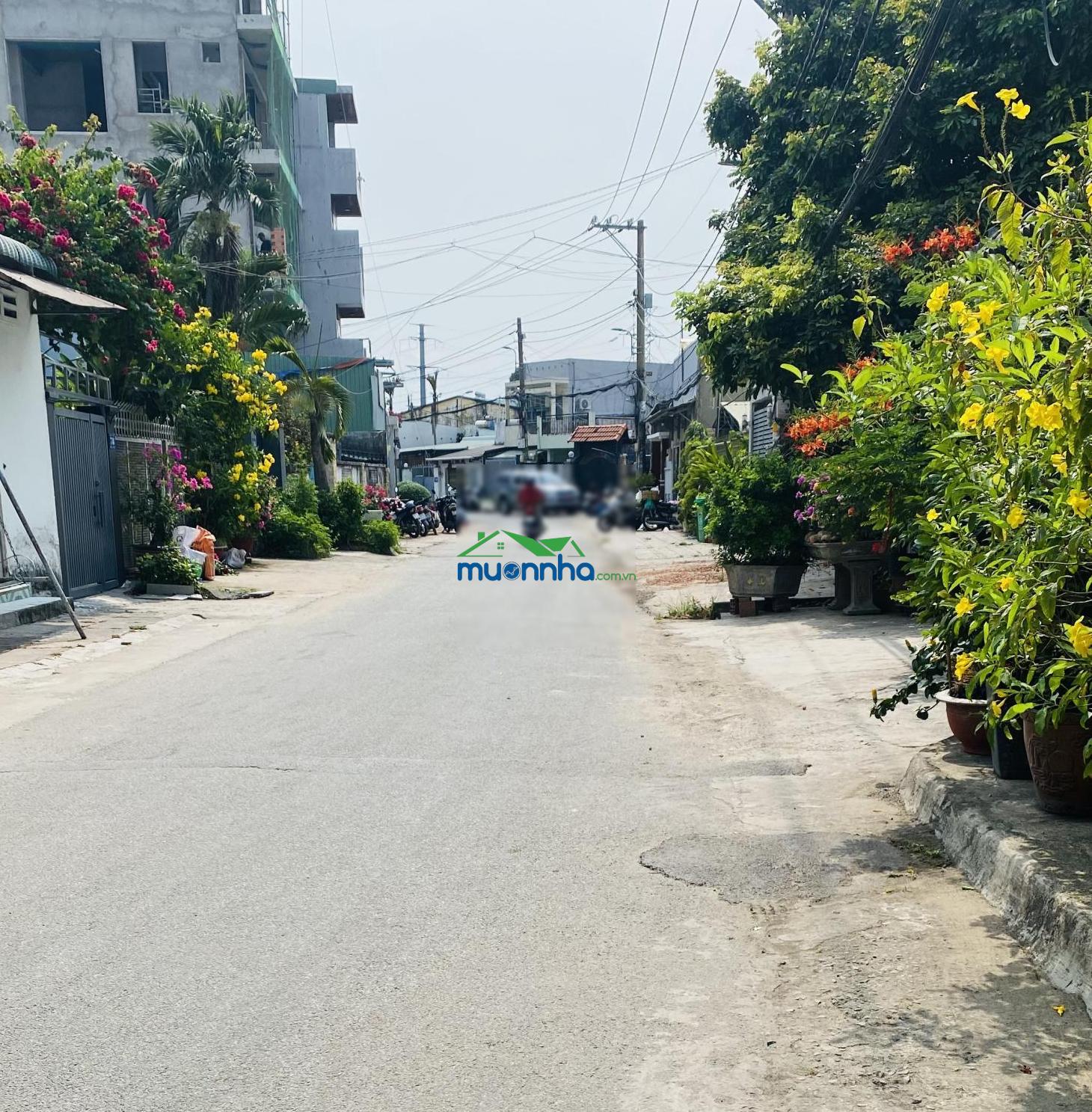 Nhà gần xa lộ hà nội - đường trãi nhựa 8 m - ngang 4.5 m- 6 tỷ2( tl) - 3