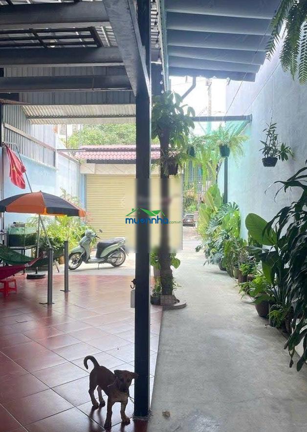 Chỉ nhỉnh 39 triệu/m2, mặt tiền nhánh tô ký, kế bên chợ tân chánh hiệp, 314m2 full thổ cư - 3