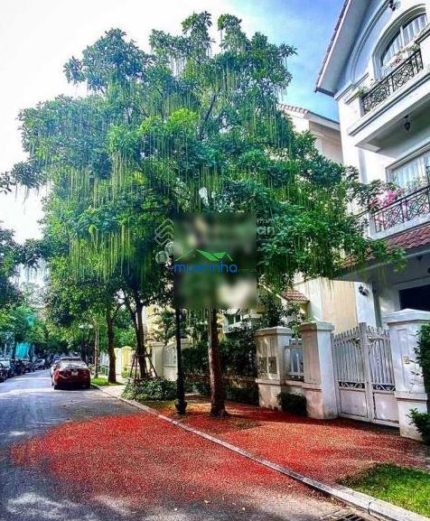 Bán gấp 10.5x25m bán nhà đường phổ quang, phường 2, quận tân bình nhà nát tiện xây mới - 4