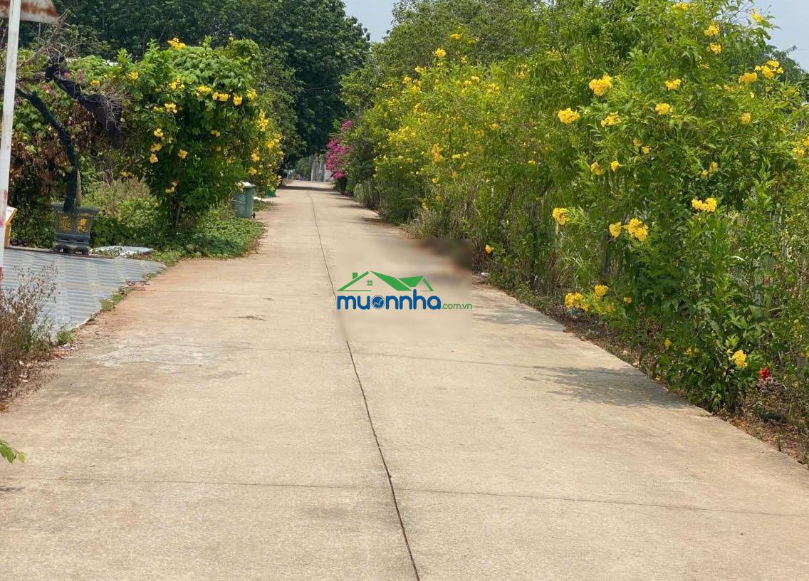 Cần bán lô đất vườn ngang 30x59m, 1760m² gần chợ an thái