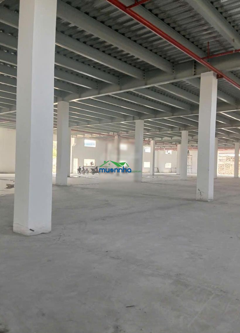 Nbd real - cho thuê nhà xưởng tân uyên 8.000m²