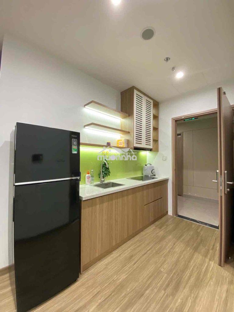 Cho thuê studio ban công phú mỹ hưng trung tâm quận 7 - 3