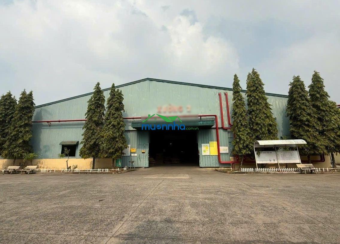 Cho thuê kho 2.600m2 tp. thủ dầu một, bình dương vị trí: gần kcn sóng thần 3 tp. thủ dầu một - 3