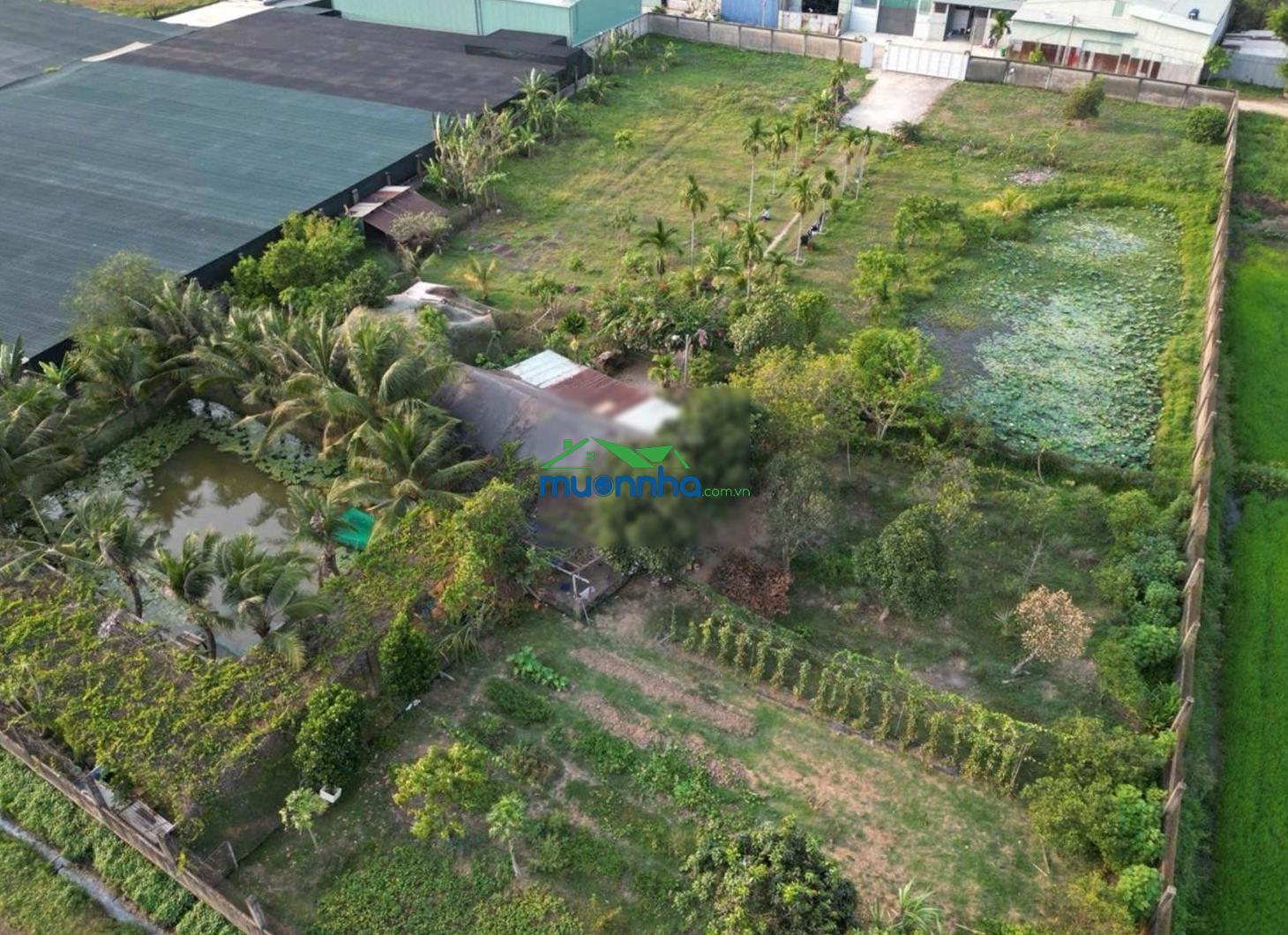 Nhà ở khu nghỉ dưỡng cho giới siêu giàu - xuân thới sơn - hóc môn, 6300m2 - 2