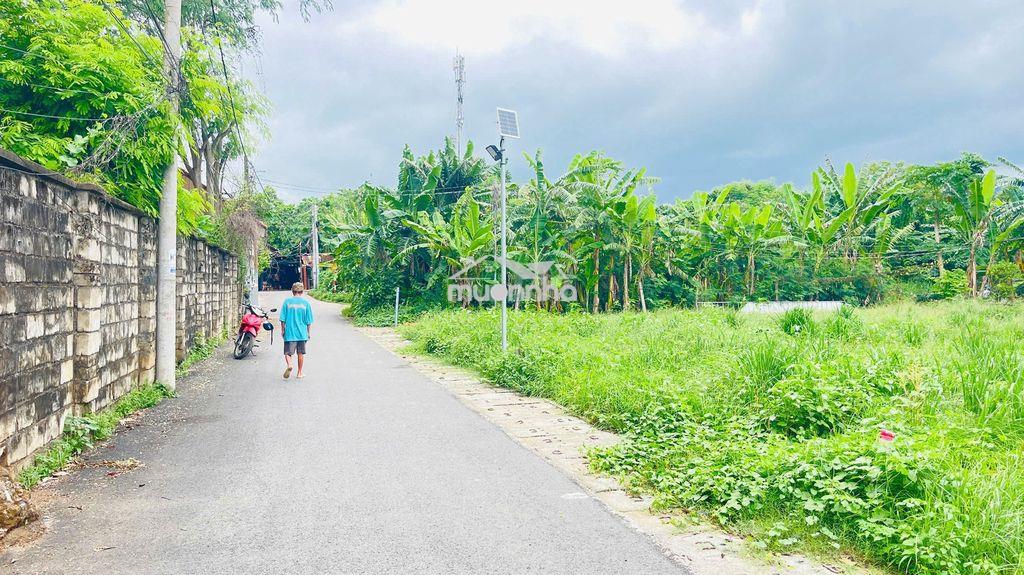 Bán đất phường phước hưng thành phố bà rịa vũng tàu - 3