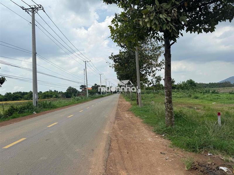 Đất mặt tiền đường nhựa, 187m2(7x27) sổ riêng thổ cư xuân lộc,đồng nai
