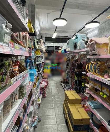Giá sốc! cn: 54 m2 - dt:4,6 x 11 m khu nguyễn văn trỗi p8 phú nhuận giá chỉ 8 tỷ không có nhà bán! - 2