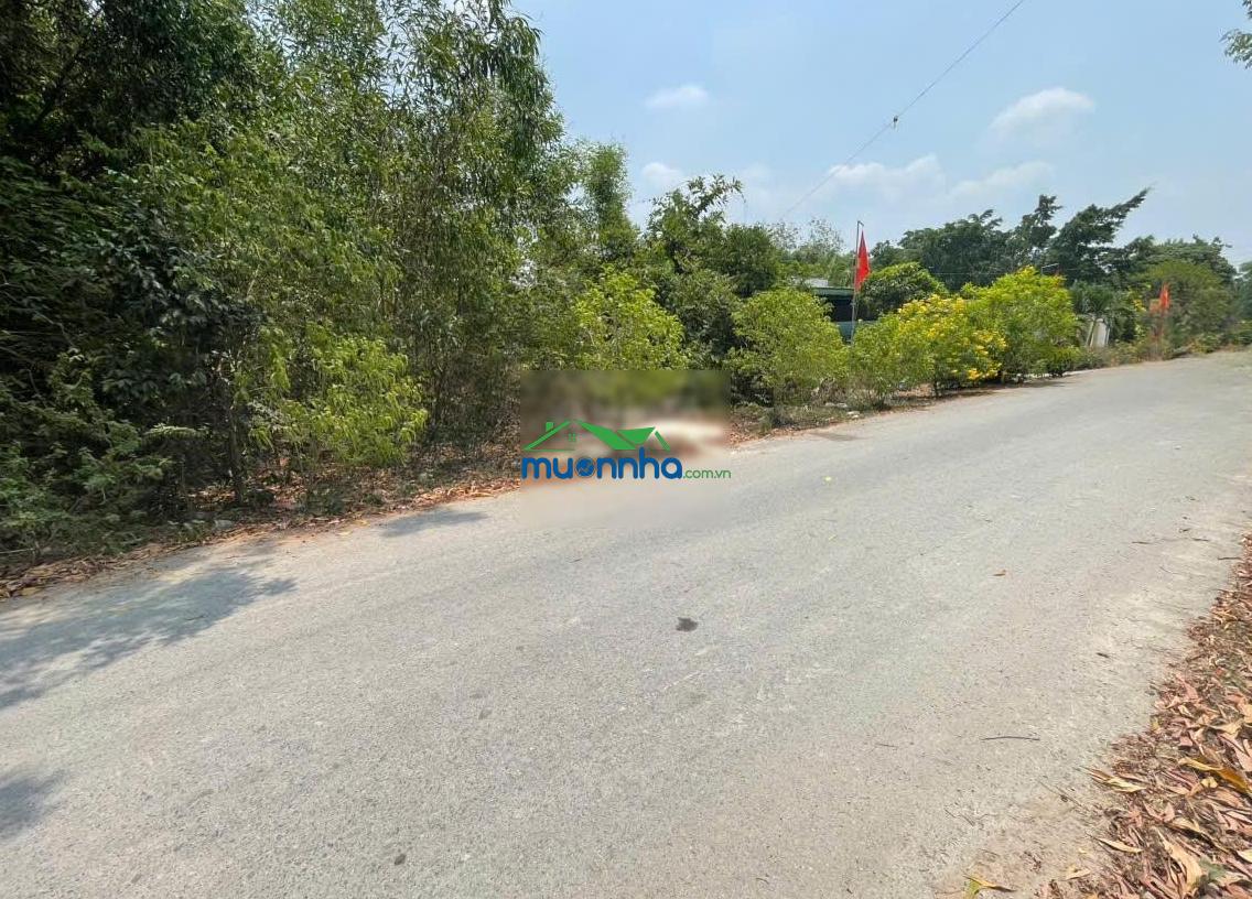 Chính chủ gửi bán đất tân thành 36 - 408m² có thổ cư đường nhựa đẹp - 4