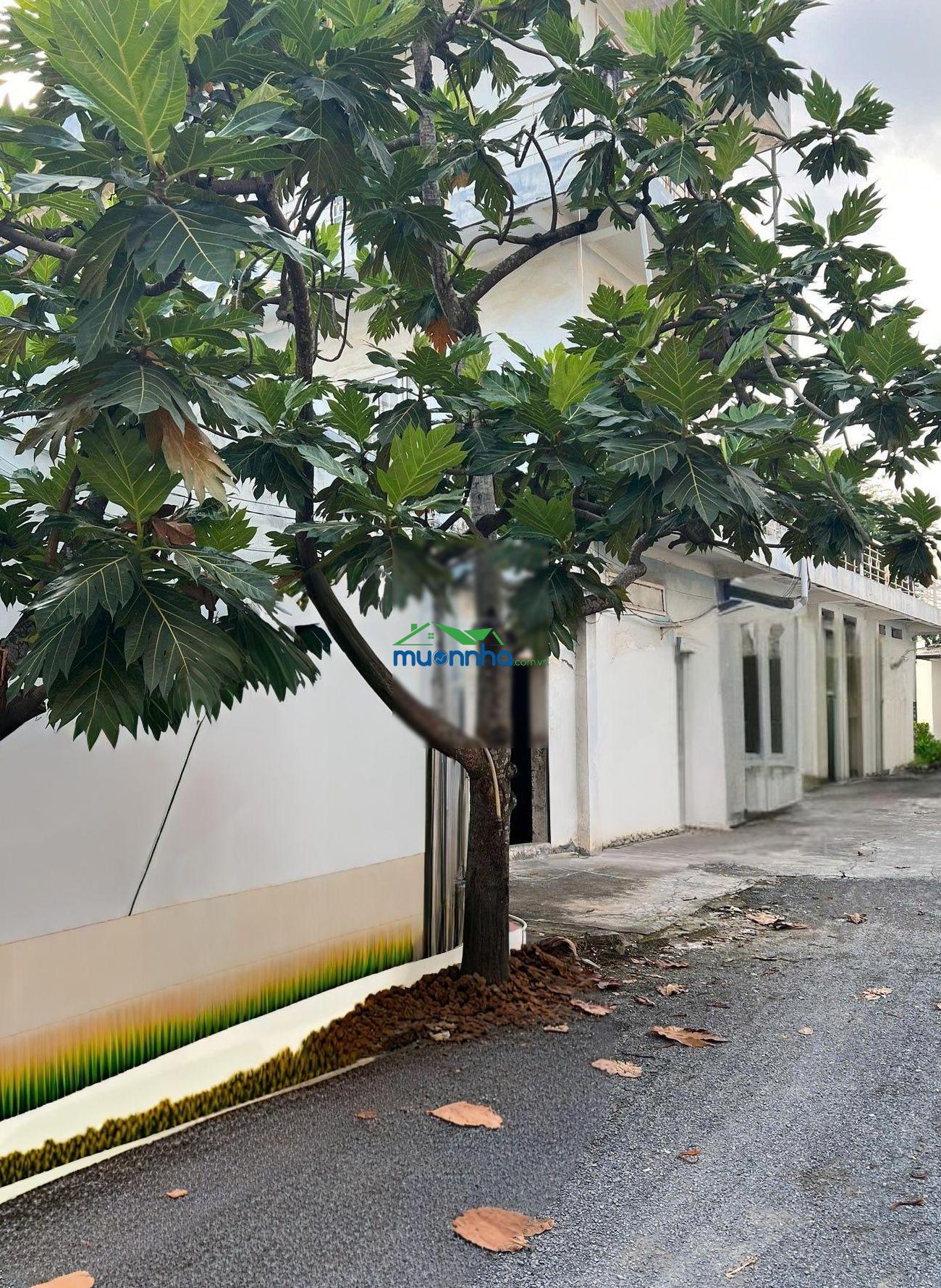 Quận 8, cần bán dãy trọ 2500m2 giá 70 triệu/m2 phú định, trương đình hội, an dương vương - 2