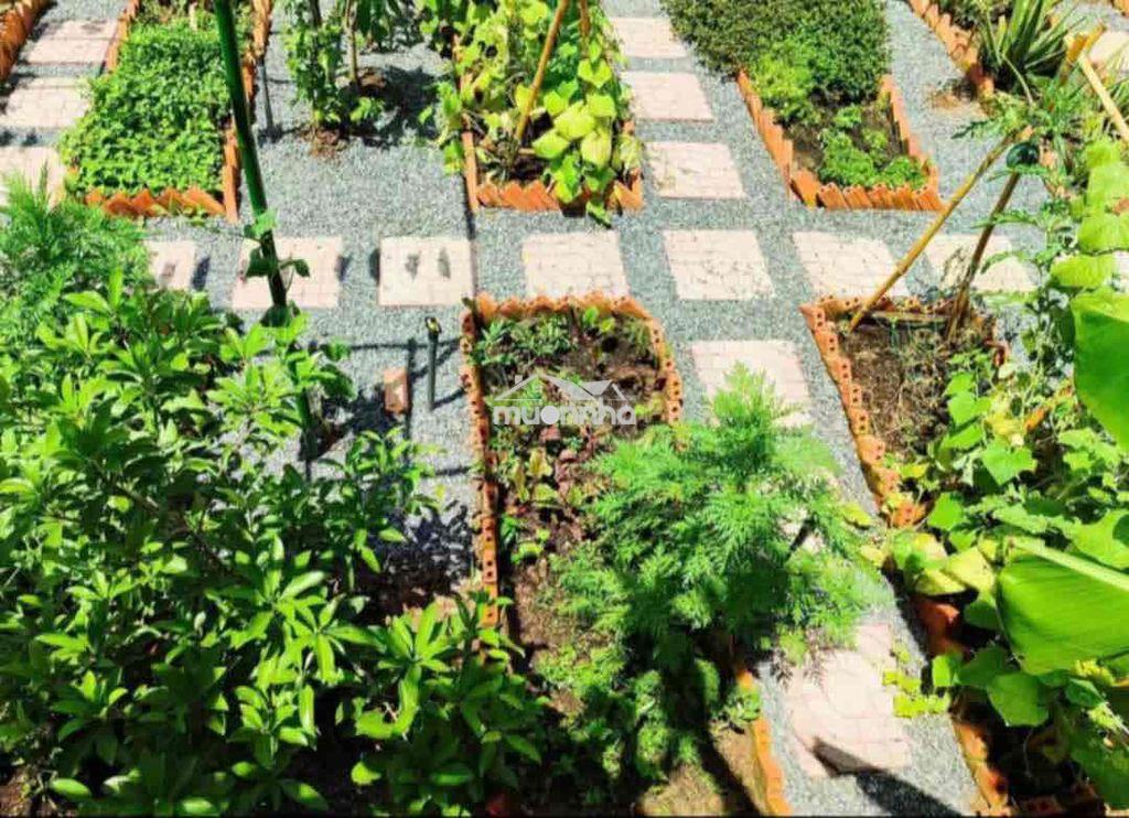 Chính chủ cần tiền muốn bán gấp lô đất giá rẻ - 2