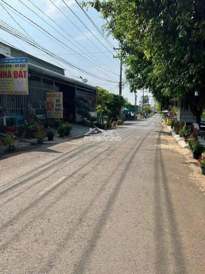 Chính chủ cần bán gấp lô đất hưng thịnh full thổ cư xd tự do. - 2