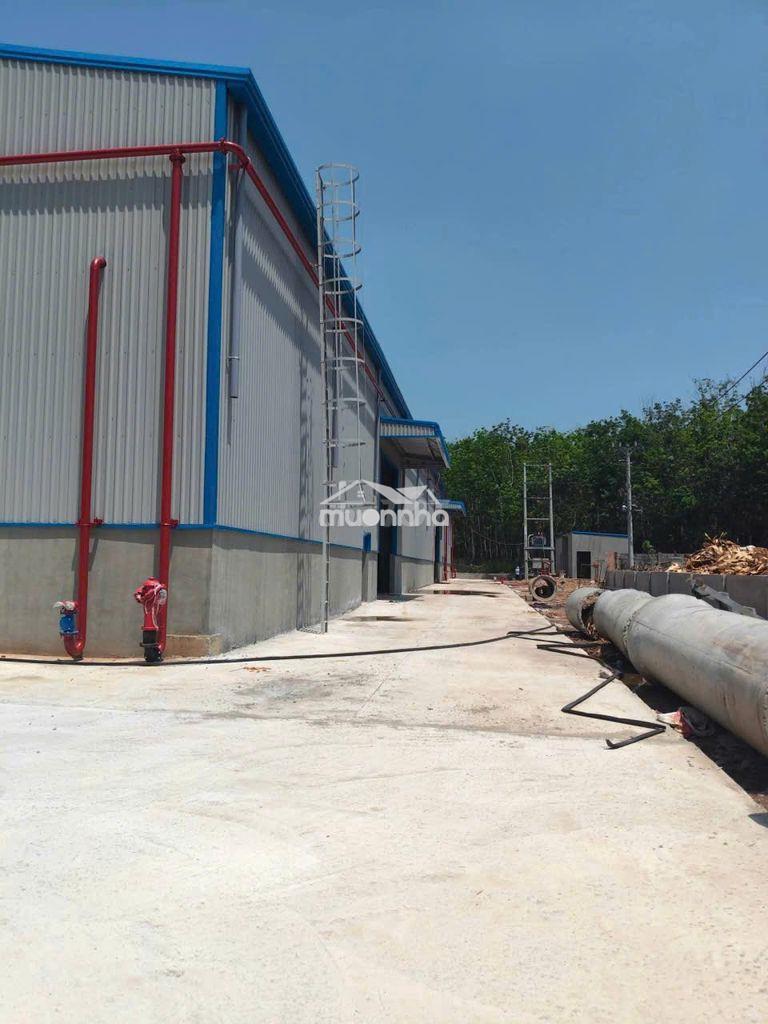 Cho thuê xưởng phú giáo bình dương hồ chí minh diện tích :9000m2 - 3