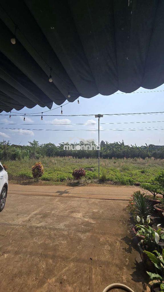 Đất gần kcn xuân quế - sông nhạn giá tốt, phù hợp phân lô, tách thửa - 2