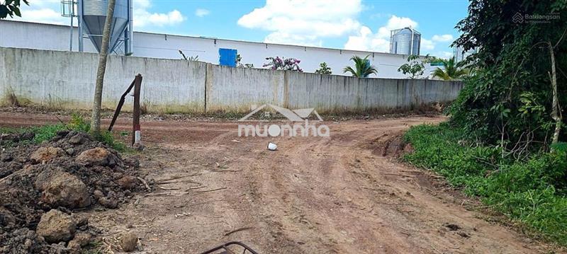 Cho thuê đất trống cln skc xã an long, tp. hcm diện tích 4,5 ha