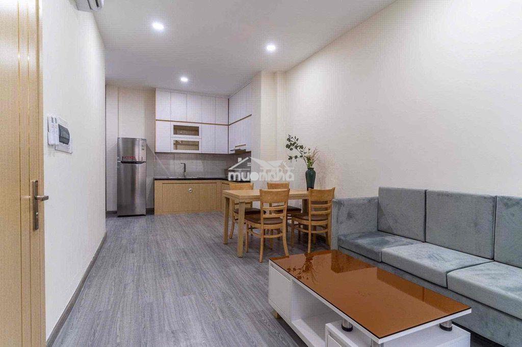 Cho thuê căn hộ 1pn ban công , 55m2, ngay quận 3 - gần dinh độc lập - 2
