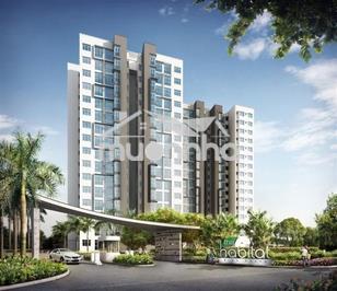 🏡 DIRECT OWNER–HABITAT 2BR2BA (CHO THUÊ)  APARTMENT FOR RENT
