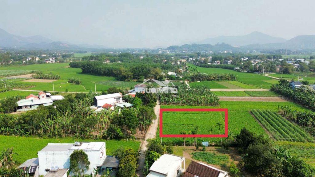 Đất trồng cây hằng năm 550m2, tứ bề là nhà dân, ngang 17m - 3