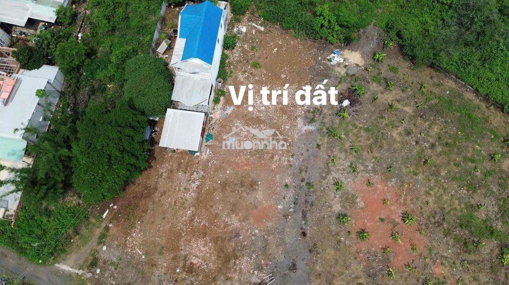 Cần tiền bán gấp đất thổ vườn giá tốt - 2