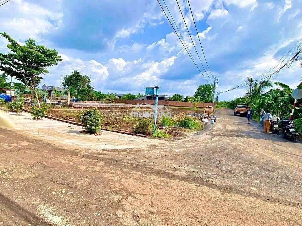 Đất đẹp giá rẻ đầu tư đường nhựa thông kinh doanh giá 795_950tr/1 nền - 4