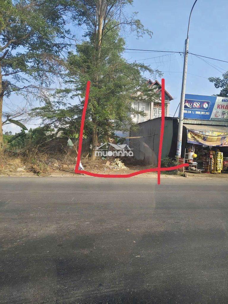 Bất đất mặt tiền đường nguyễn hoàng - 3