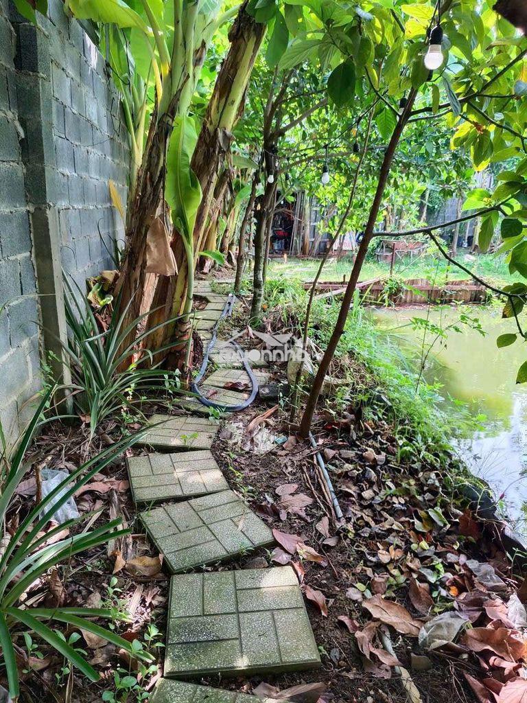 Nhà vườn nghĩ dưỡng 700m² phường bửu long - 4