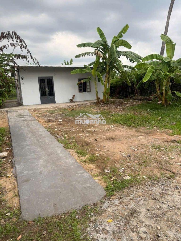 Nhà mới xây hẻm xe hơi nhà 90m²+ đât 210m² pk 3pn sân trước vườn sau