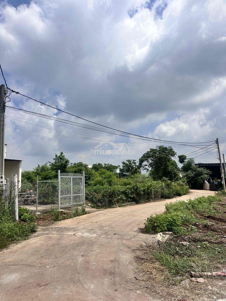 Ngay vòng xoay hồ thị hương, sau lưng bv ái nghĩa. tt p.long khánh - 4