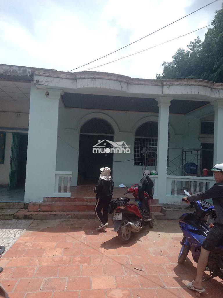 Nhà rộng gấp 4 lần nhà trọ