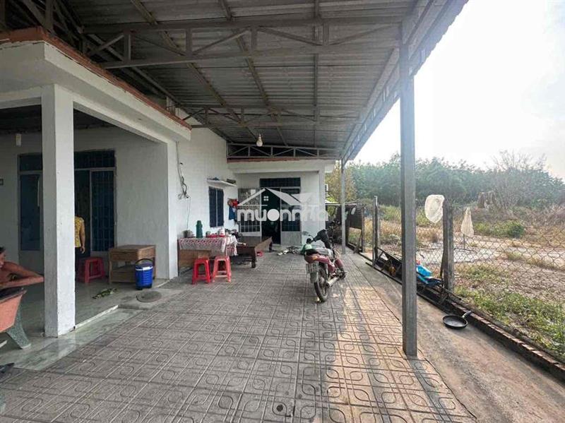 Bán nhà cấp bốn mặt tiền đường nhựa
