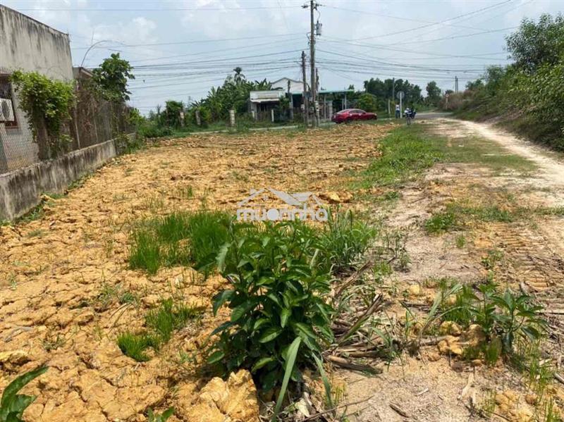 Đất thổ cư 253m² mt bàu công tân mỹ đức hòa gần vingreen 197