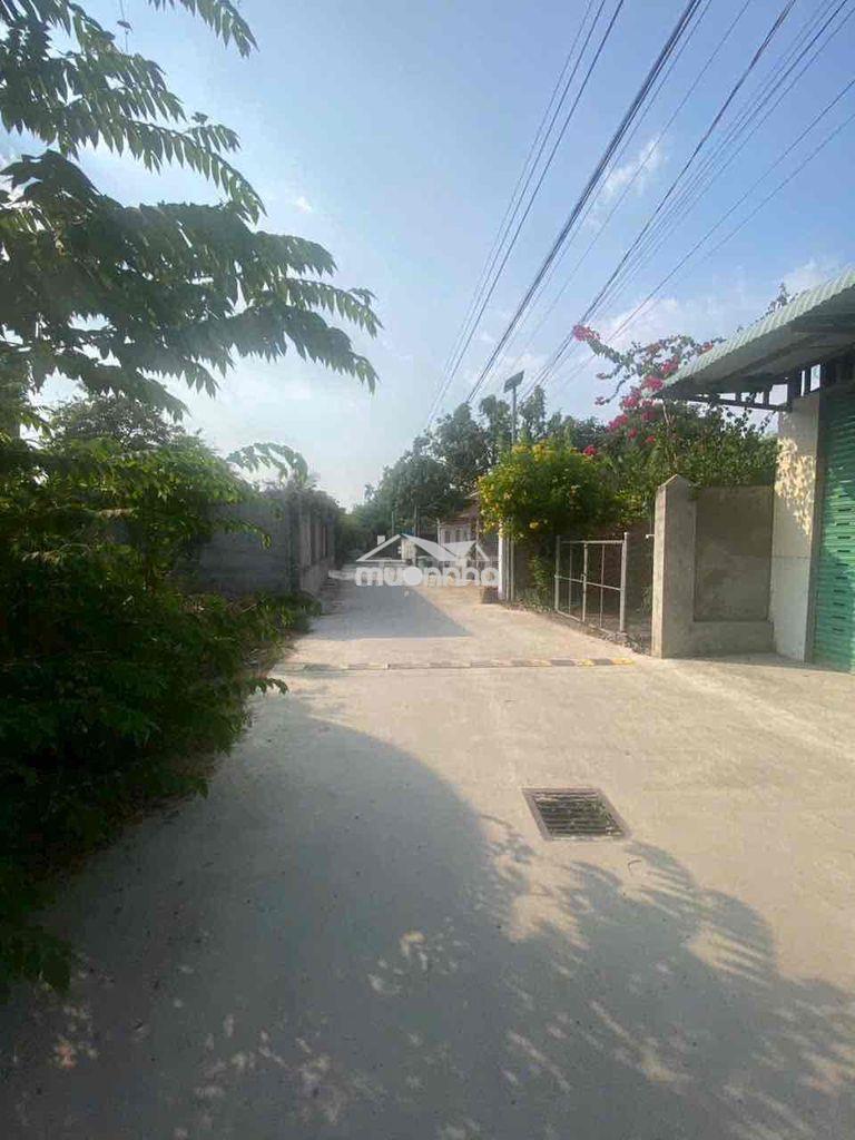 Bđs đồng nai- đô thị hiệp hoà