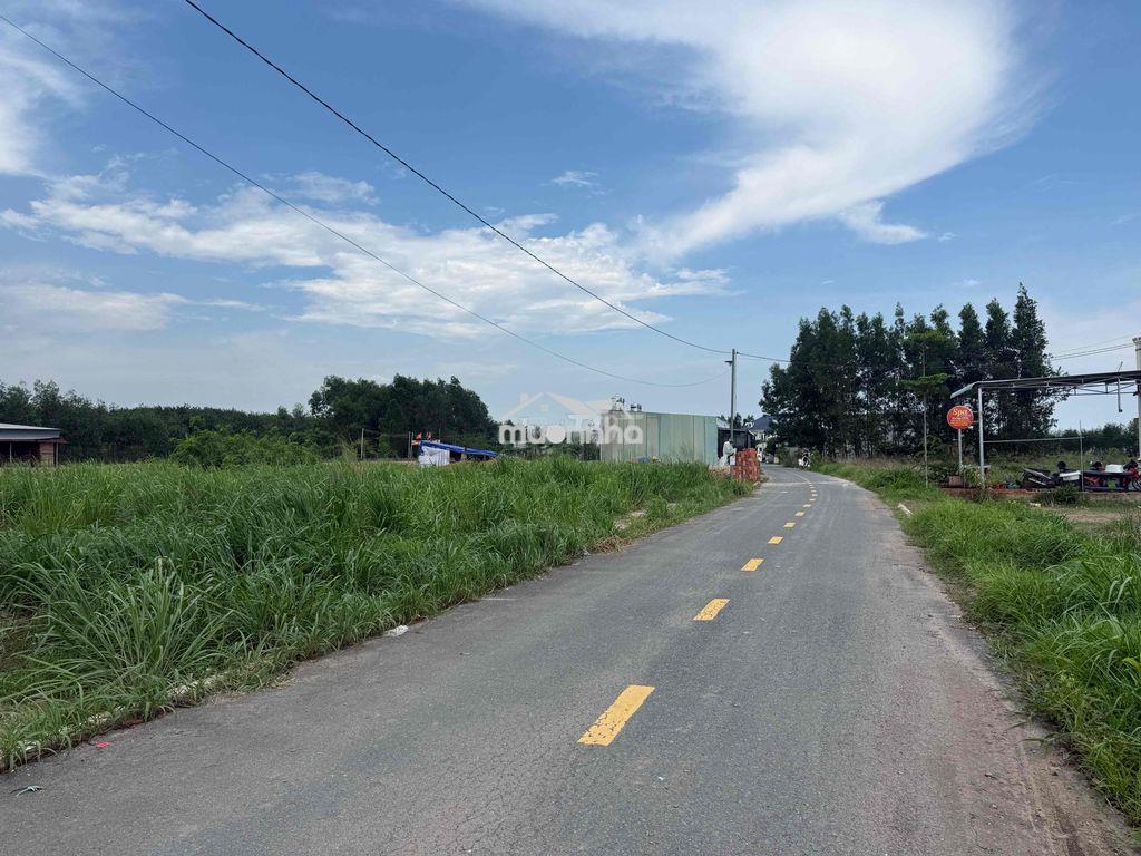 Bán đất chính chủ - 3