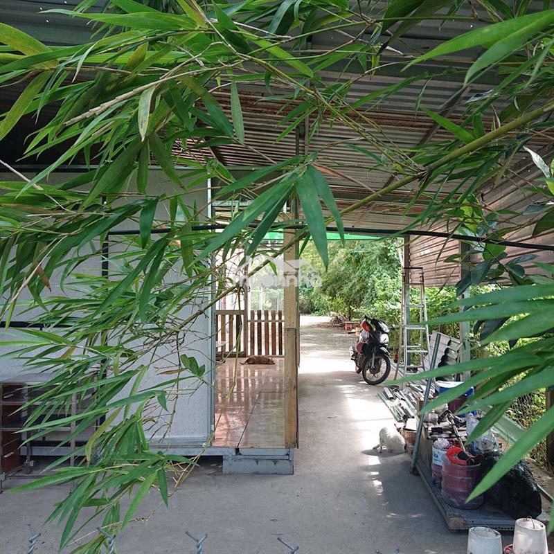 📢 Chính chủ bán đất có nhà vườn 699trieu – 5x65m – sổ hồng riêng