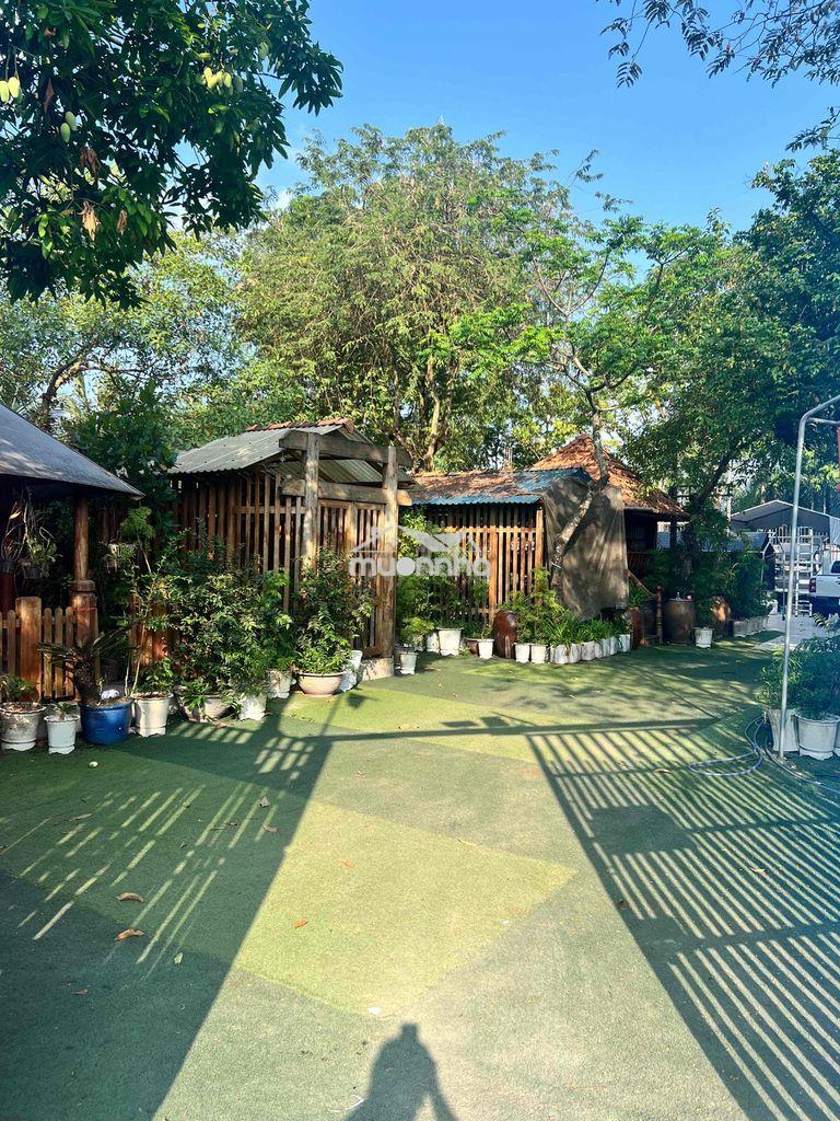 Bán đất thuộc x. hưng long, tp. hồ chí minh