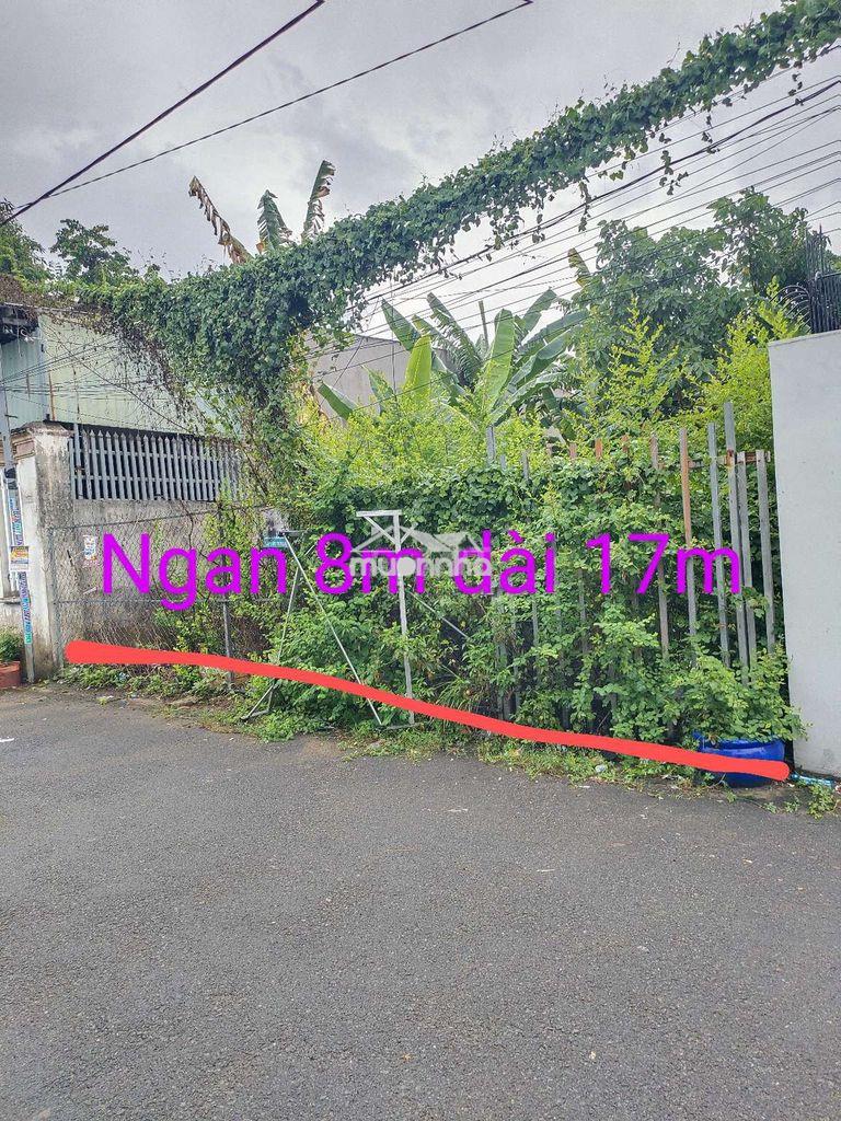 Bán đất 8x17 - 3