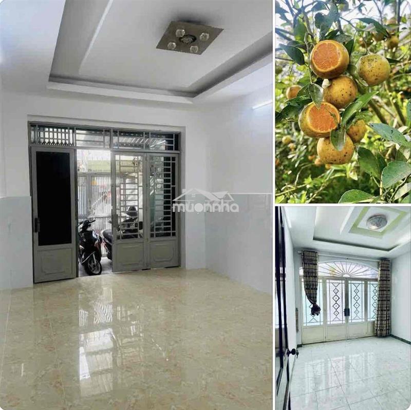 Nhà rộng mới, dt 4x 12,5m, 1 trệt 1 lầu, 2p. ngủ ở và làm việc ok