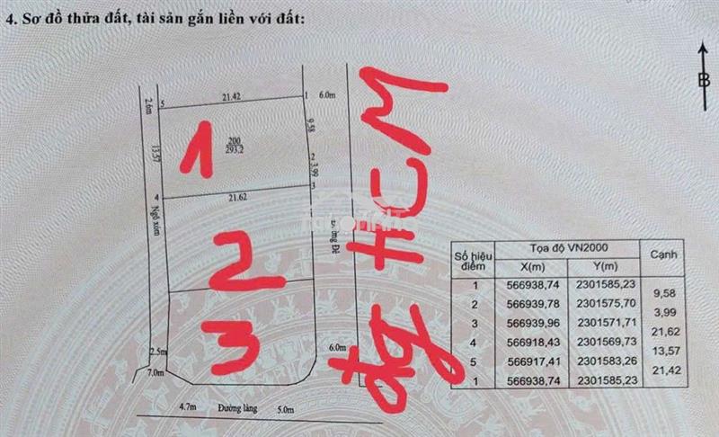 Đất vàng mặt đường làm biệt thự đẹp