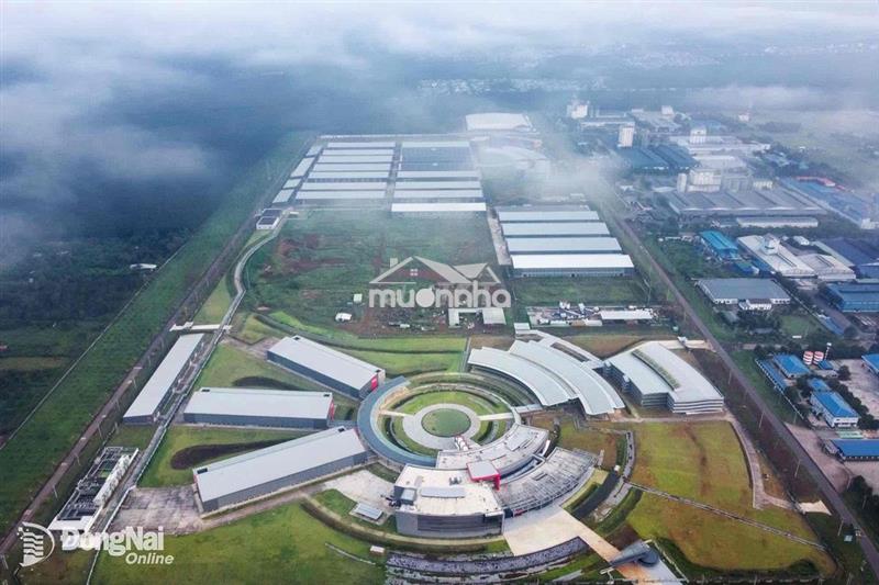 Chính chủ bán đất phường dầu giây ngay 2kcn lớn