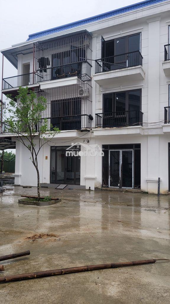 Cần bán nhà đang chờ thuê 5 phòng trọ 3 tầng