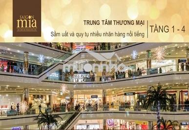 Cho thuê căn hộ saigon mia-trung sơn - 3