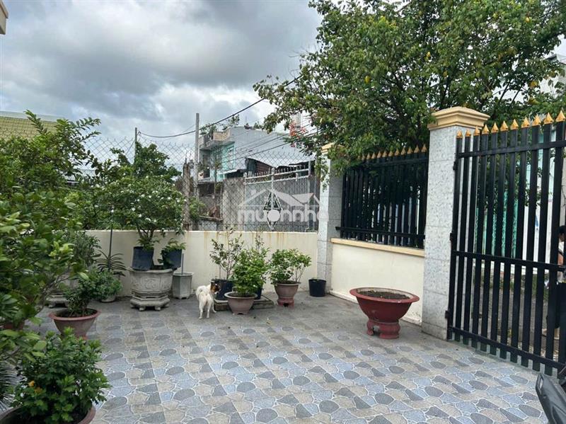 Bán nhà 717m2 - tân thạnh đông-  củ chi