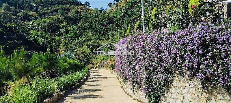 Nhà săn mây đầy đủ tiện nghi và nội thất đẹp diện tích gần 1ha giá 3ti