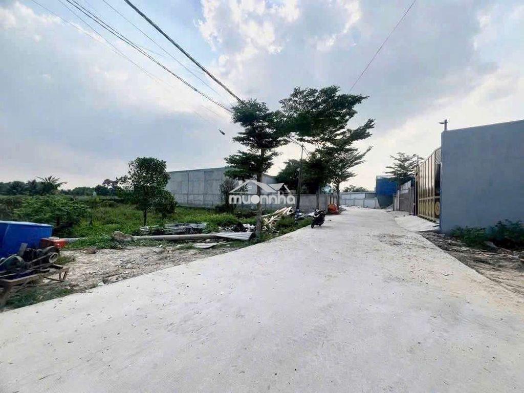 💥💥 Nhà hiếm có 4,5t thôi ạ phải nhanh mới còn ạ - 2