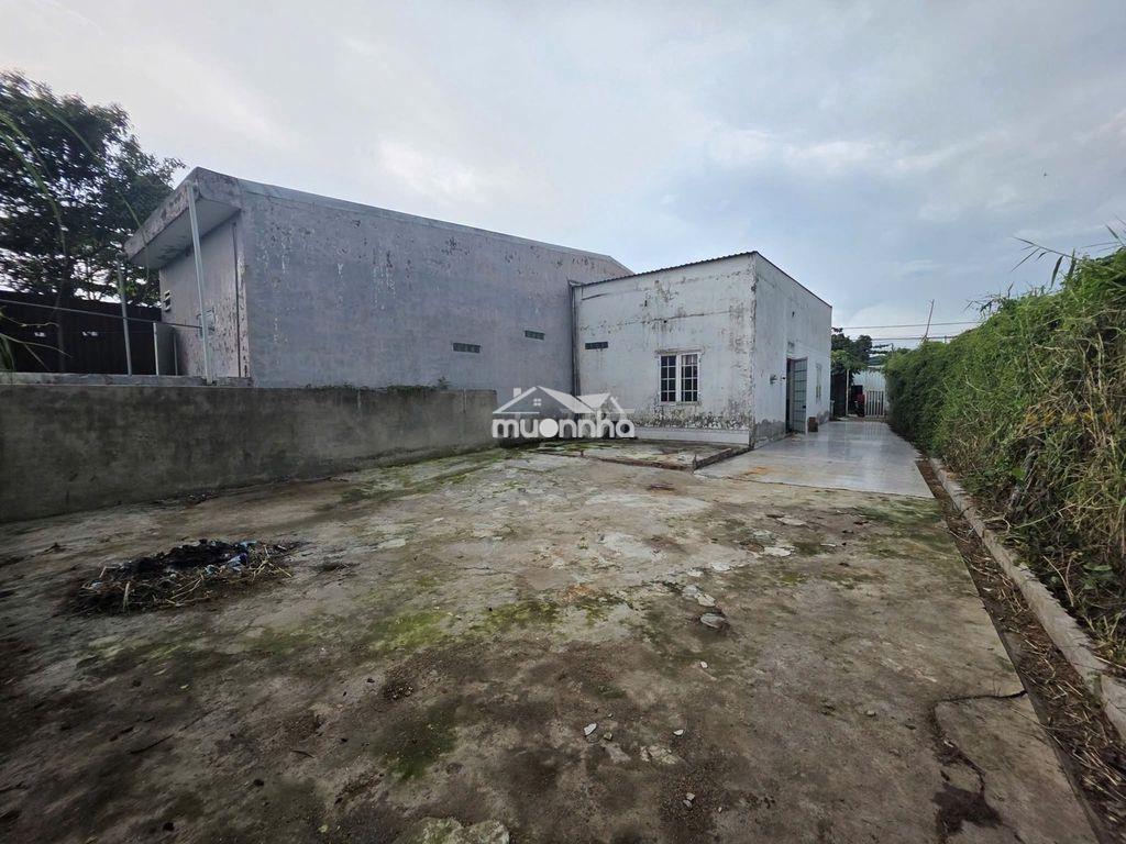 Bán gấp lô đất ngang 10 ở 1/ đ. suối lội dt:431m2 shr giá tốt 1 tỉ 350 - 4