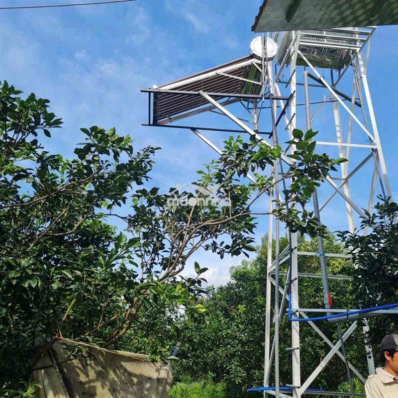 Cho thuê nhà vườn 1000m2 - ấp 1 bình lợi - p.tân triều