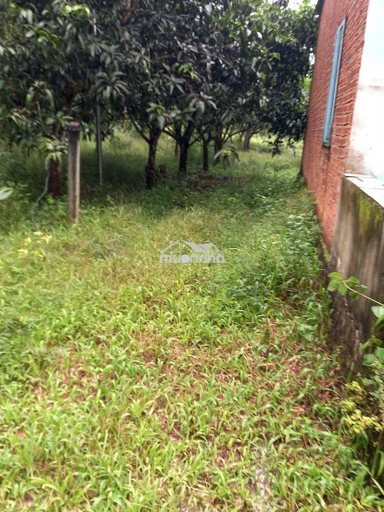Nhà vườn giáp suối quanh năm, 300m² thổ cư, có nhà sẵn chỉ 1,8 tỷ - 3