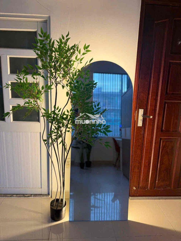 Studio thang máy full nội thất ngay cầu nguyễn văn cừ, đh sư phạm sgu - 3